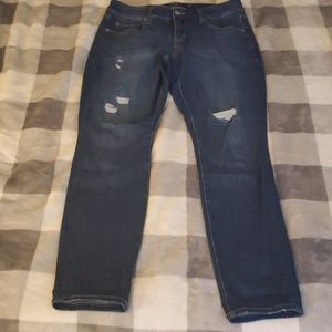 TORRID Size 10R skinny jeans